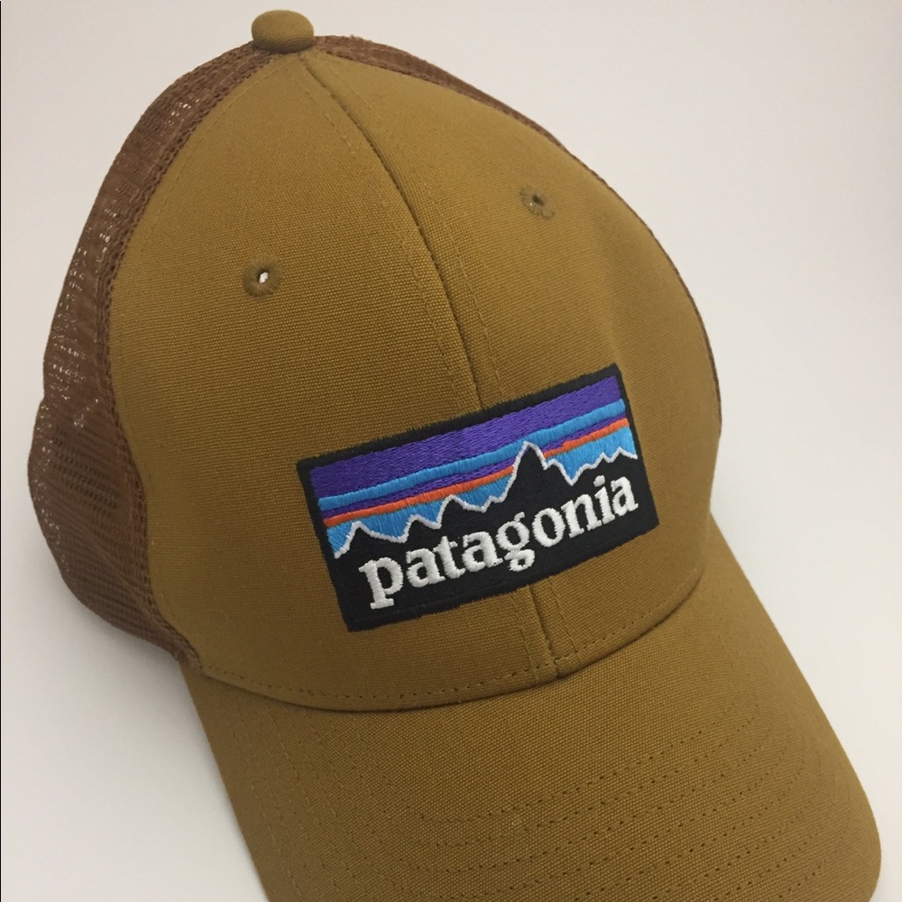 Patagonia Trucker Hat (P6 logo)